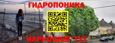 бошки Краснодар